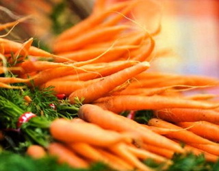Вітчизняні фермери вважають моркву нерентабельною культурою